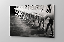 Obraz Balerína zs1238